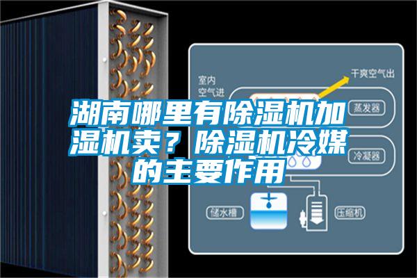 湖南哪里有除湿机加湿机卖?除湿机冷媒的主要作用