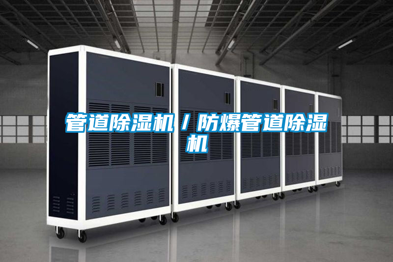 管道除湿机/防爆管道除湿机