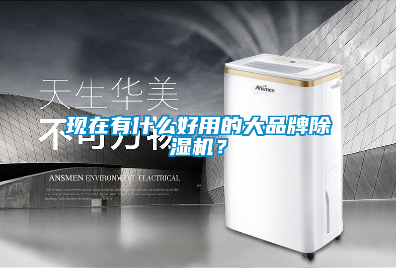 现在有什么好用的大品牌除湿机?