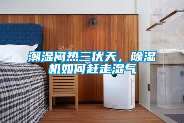 潮湿闷热三伏天,除湿机如何赶走湿气