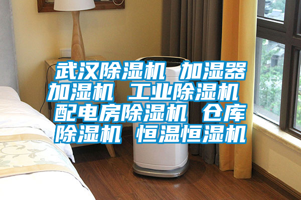 武汉除湿机 加湿器加湿机 宝马电子游戏平台网址
配电房除湿机 仓库除湿机 恒温恒湿机