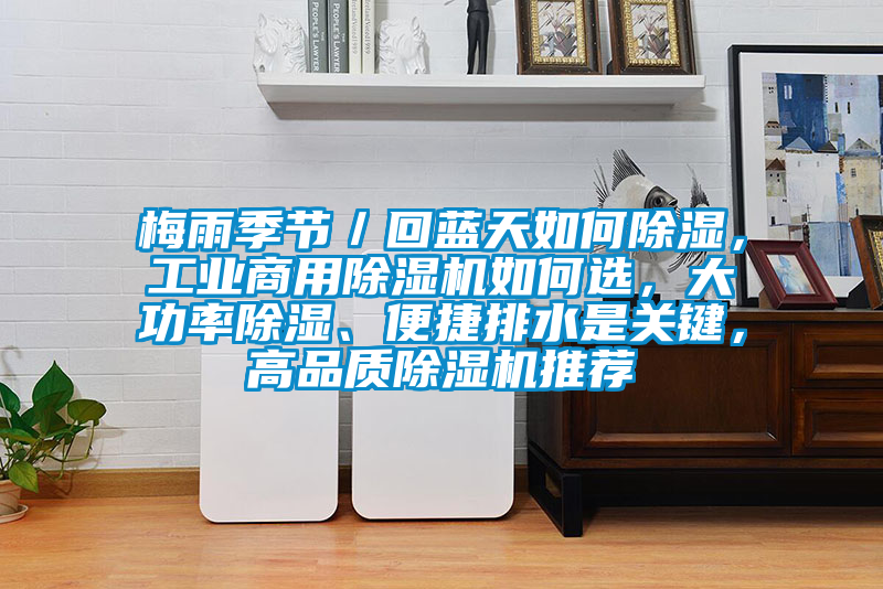 梅雨季节/回蓝天如何除湿,工业商用除湿机如何选,大功率除湿、便捷排水是关键,高品质除湿机推荐