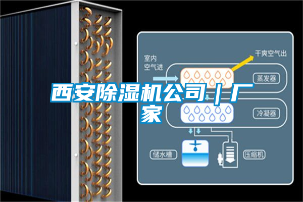 西安除湿机公司|厂家