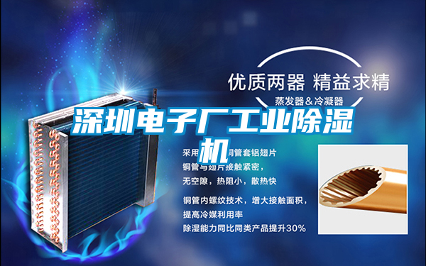 深圳电子厂宝马电子游戏平台网址