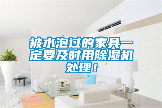被水泡过的家具一定要及时用除湿机处理!