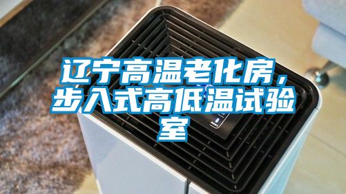 辽宁高温老化房,步入式高低温试验室