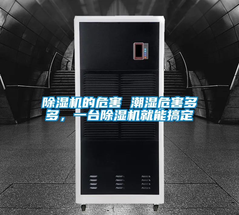除湿机的危害 潮湿危害多多,一台除湿机就能搞定