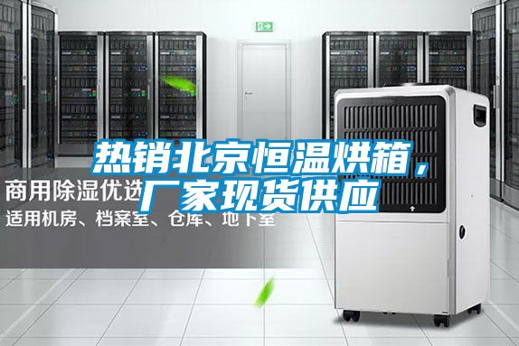 热销北京恒温烘箱,厂家现货供应