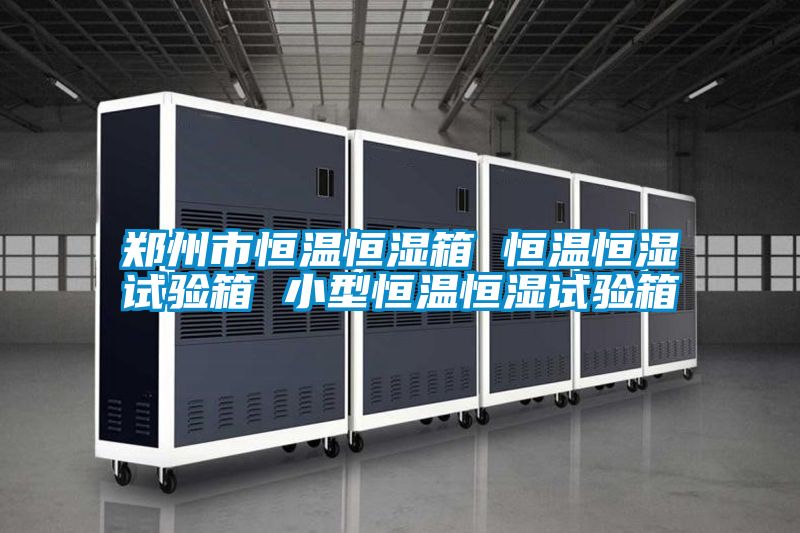 郑州市恒温恒湿箱 恒温恒湿试验箱 小型恒温恒湿试验箱