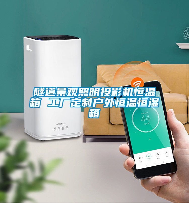 隧道景观照明投影机恒温箱 工厂定制户外恒温恒湿箱