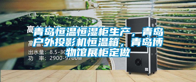青岛恒温恒湿柜生产,青岛户外投影机恒温箱,青岛博物馆展柜定做
