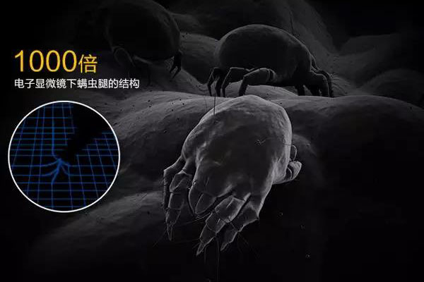 螨虫高发季,家用除湿机除螨有妙计!