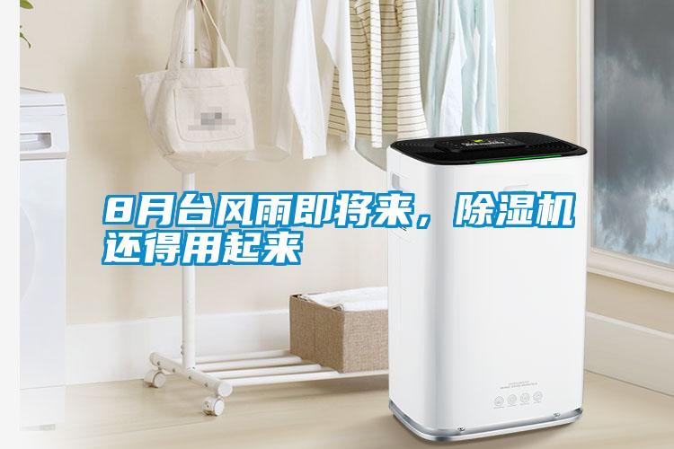 8月台风雨即将来，除湿机还得用起来