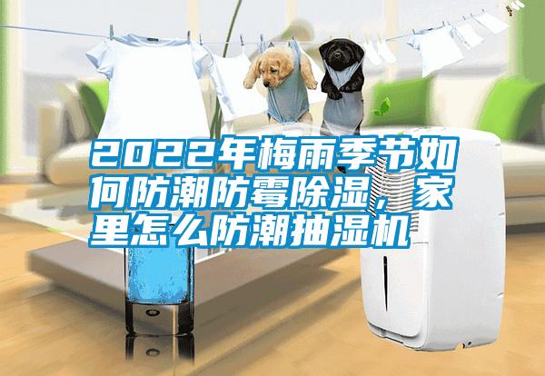2022年梅雨季节如何防潮防霉除湿，家里怎么防潮抽湿机