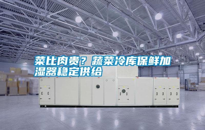 菜比肉贵？蔬菜冷库保鲜加湿器稳定供给