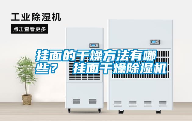 挂面的干燥方法有哪些？ 挂面干燥除湿机