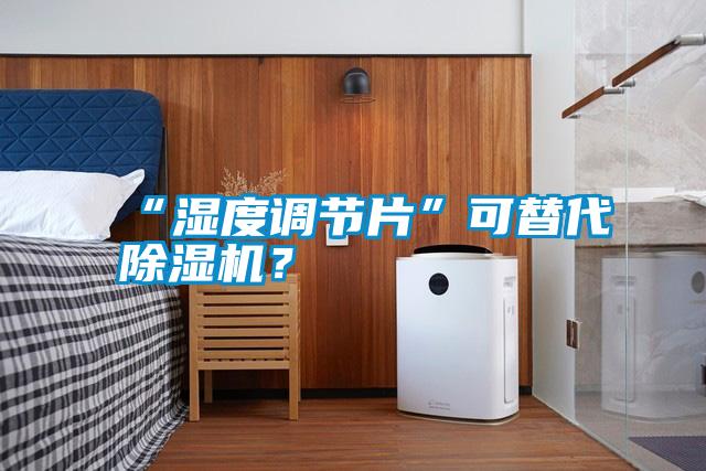 “湿度调节片”可替代除湿机？