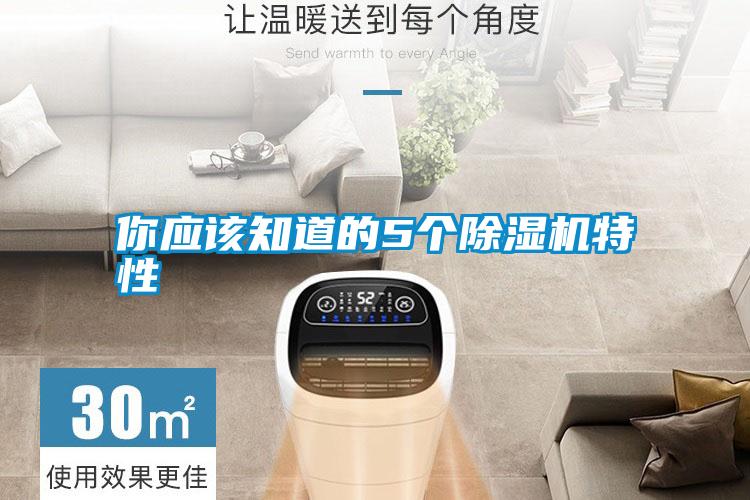 你应该知道的5个除湿机特性