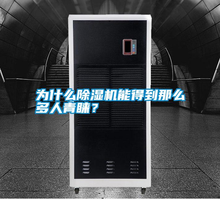 为什么除湿机能得到那么多人青睐？