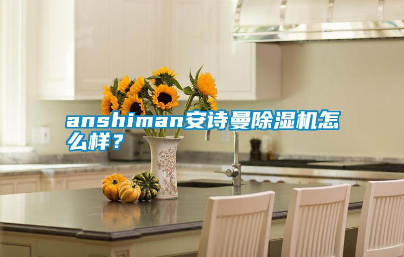 anshiman摆脱电子游戏大奖视频除湿机怎么样？