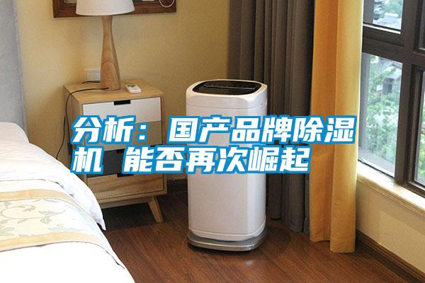 分析：国产品牌除湿机 能否再次崛起