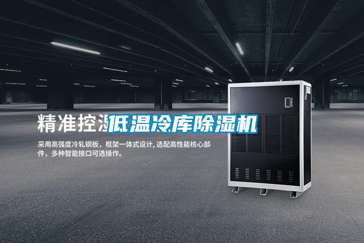 低温冷库除湿机