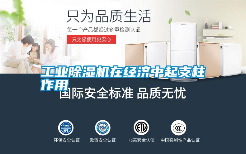 宝马电子游戏平台网址在经济中起支柱作用