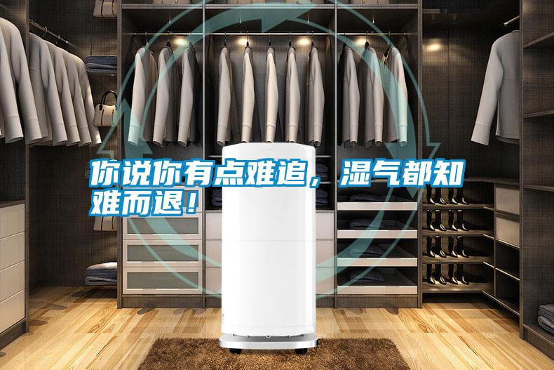 你说你有点难追，湿气都知难而退！