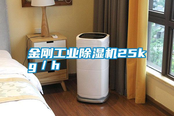 金刚宝马电子游戏平台网址25kg／h