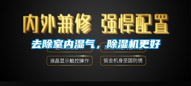 去除室内湿气，除湿机更好
