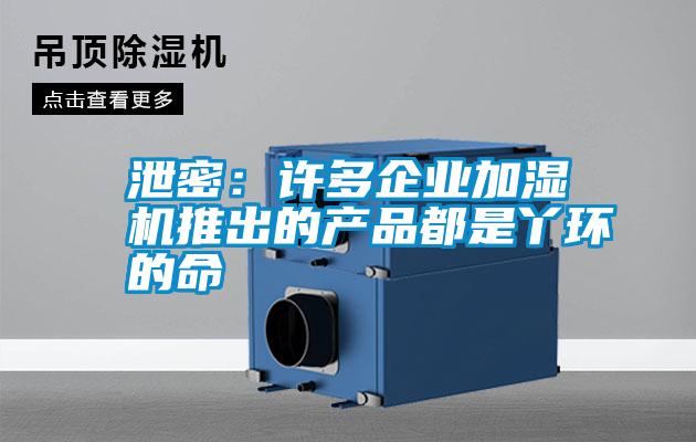 泄密：许多企业加湿机推出的产品都是丫环的命