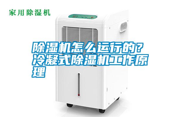 除湿机怎么运行的？冷凝式除湿机工作原理