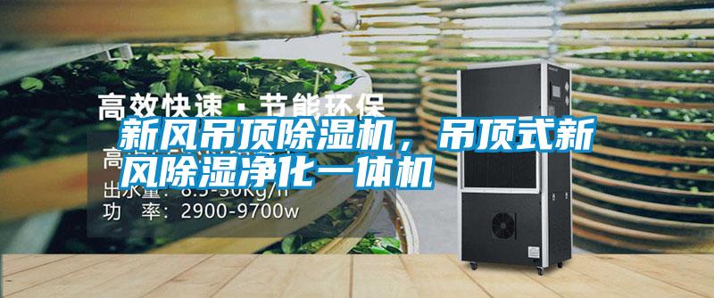 新风吊顶除湿机，吊顶式新风除湿净化一体机