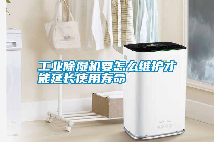 宝马电子游戏平台网址要怎么维护才能延长使用寿命