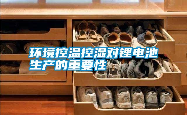 环境控温控湿对锂电池生产的重要性