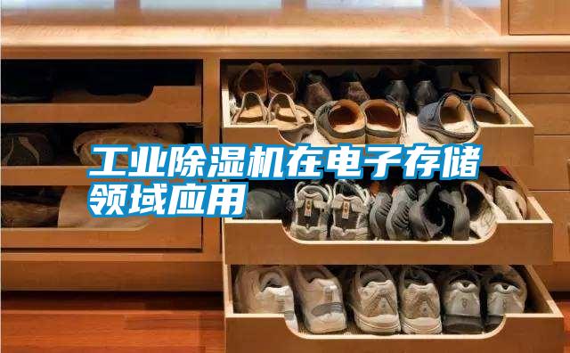 宝马电子游戏平台网址在电子存储领域应用