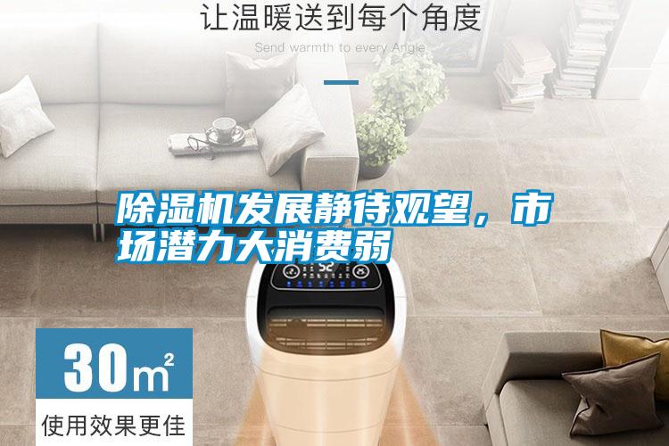除湿机发展静待观望，市场潜力大消费弱