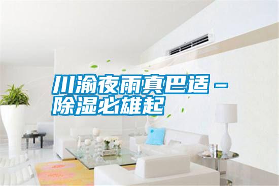 川渝夜雨真巴适–除湿必雄起