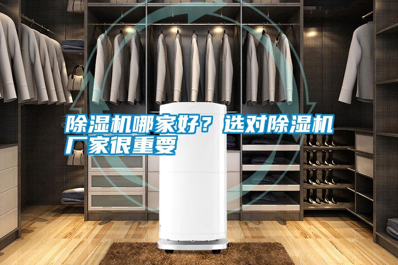 除湿机哪家好？选对宝马电子游戏娱乐很重要