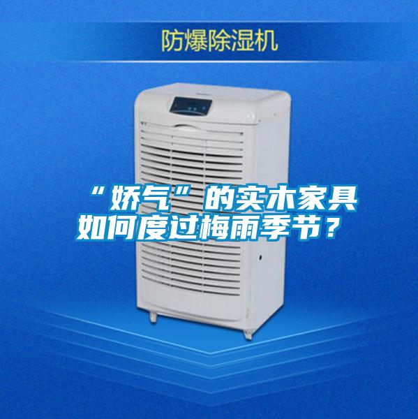 “娇气”的实木家具如何度过梅雨季节？