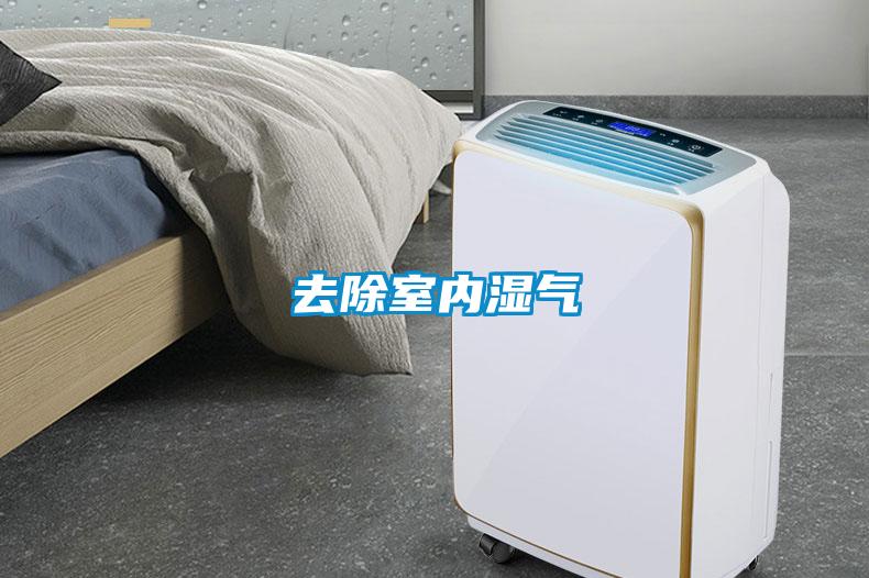 去除室内湿气