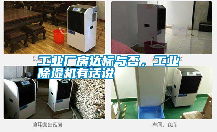 工业厂房达标与否，宝马电子游戏平台网址有话说