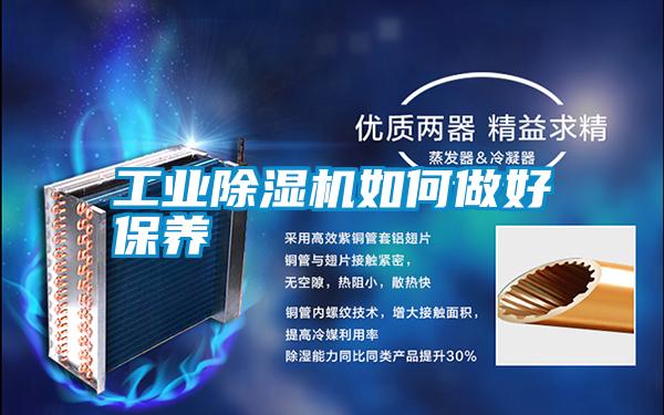 宝马电子游戏平台网址如何做好保养