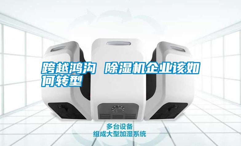 跨越鸿沟 除湿机企业该如何转型