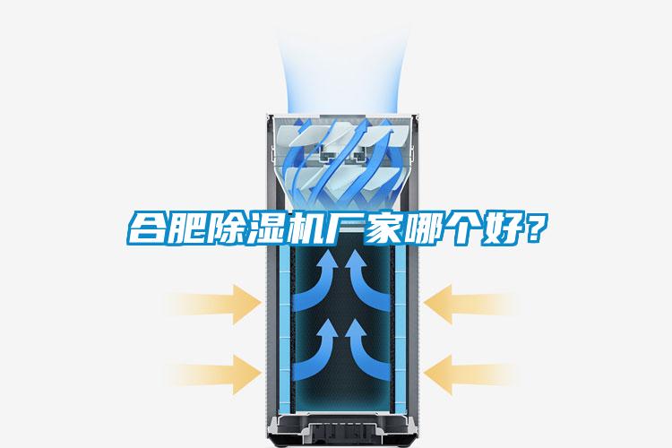 合肥宝马电子游戏娱乐哪个好？