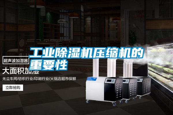 宝马电子游戏平台网址压缩机的重要性