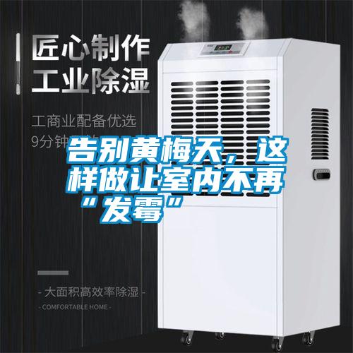 告别黄梅天，这样做让室内不再“发霉”