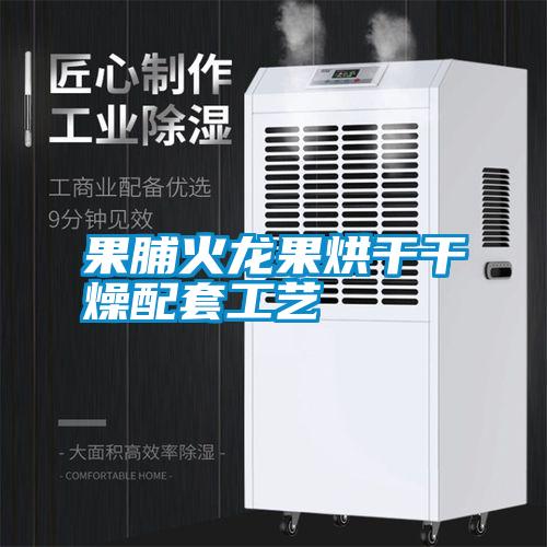 果脯火龙果烘干干燥配套工艺