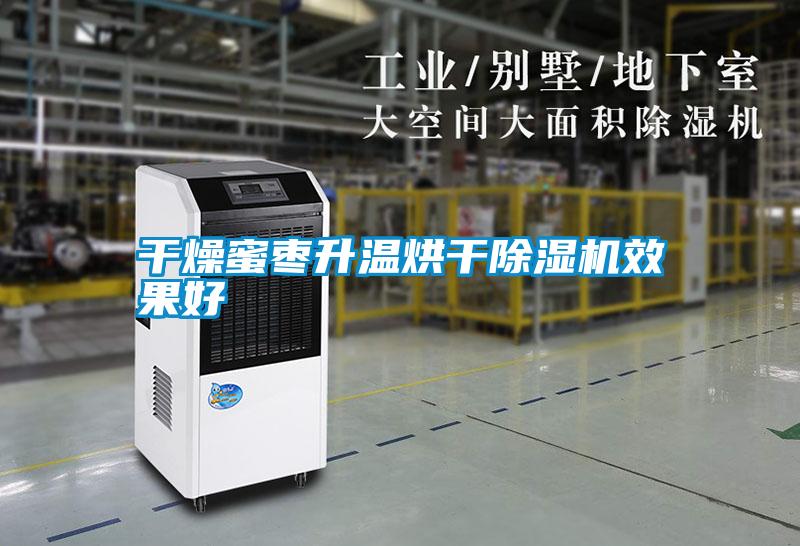 干燥蜜枣升温烘干除湿机效果好
