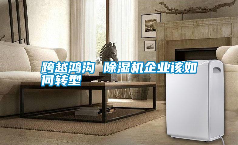 跨越鸿沟 除湿机企业该如何转型